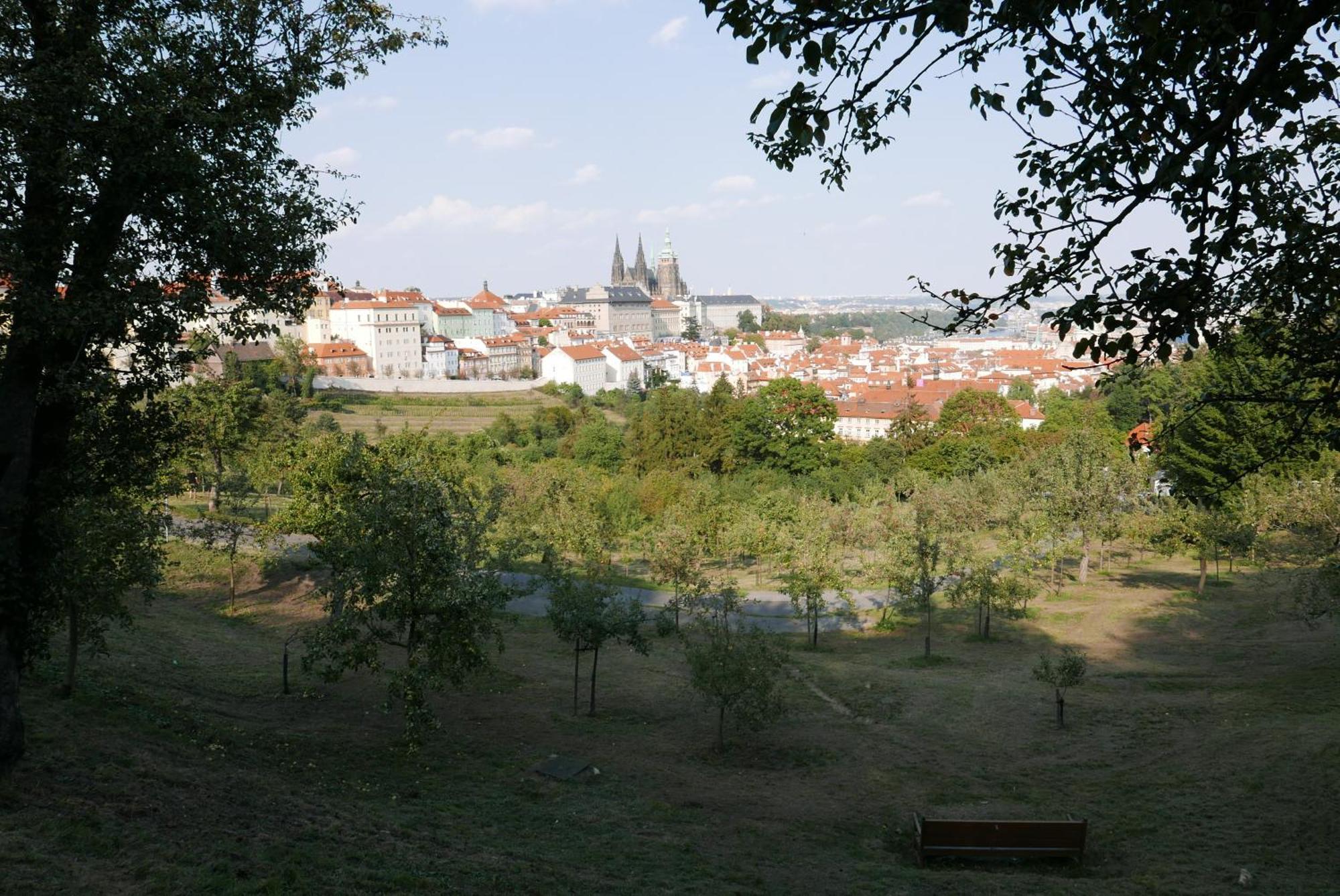 Grace By Castle Praga